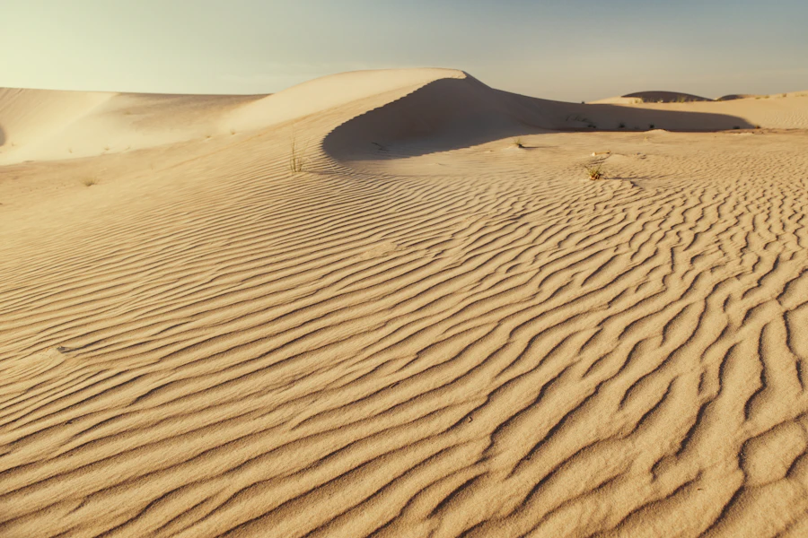 Les dunes du désert d'Abou Dhabi vues du ciel