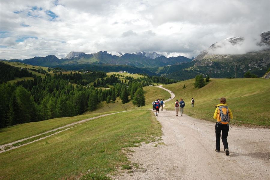 Un sentier vers le plateau de Pralongià