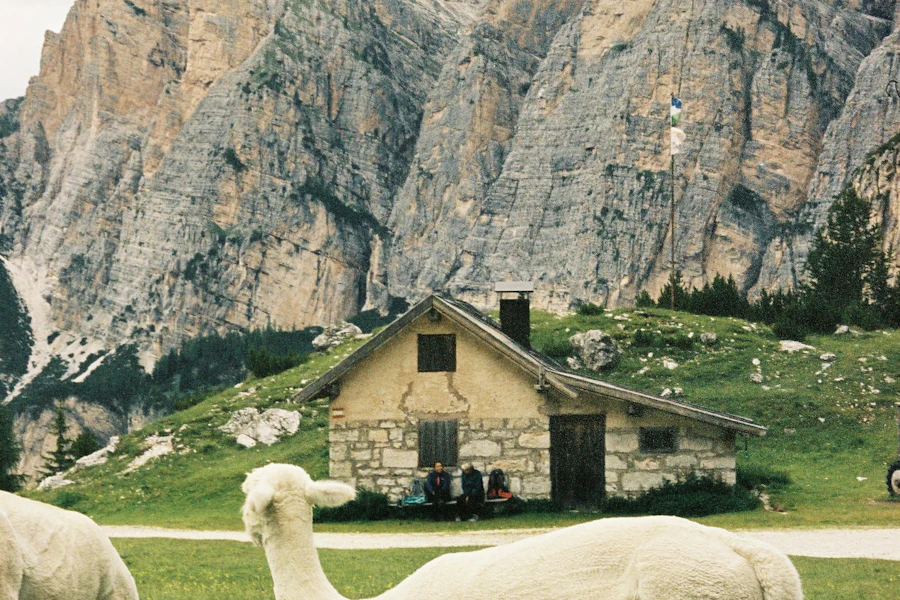 Un cheval blanc dans les prés de San Cassiano, face aux montagnes