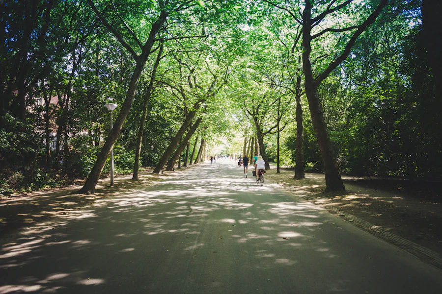 Une allée cyclable sous les arbres du Vondelpark