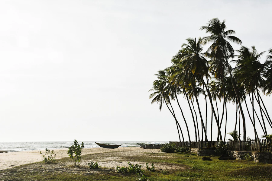 Un bateau sur le sable d'Arugam Bay, au pied des arbres