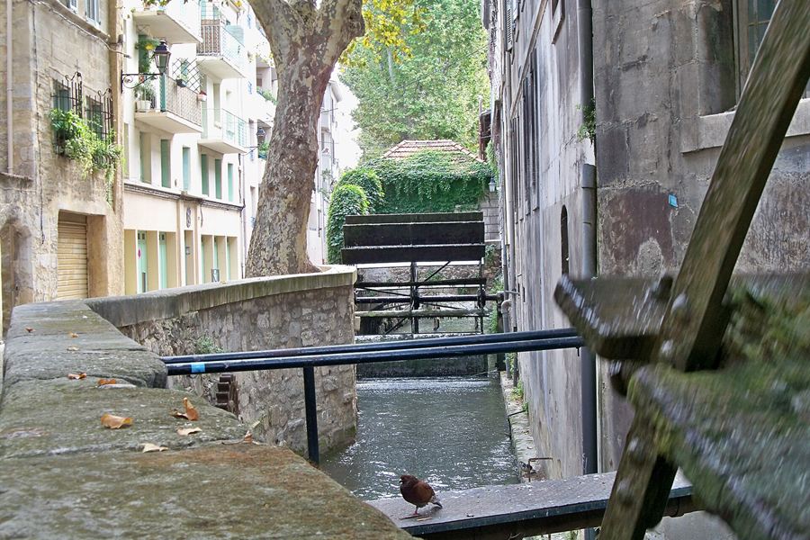 Une roue à aubes de la rue des Teinturiers