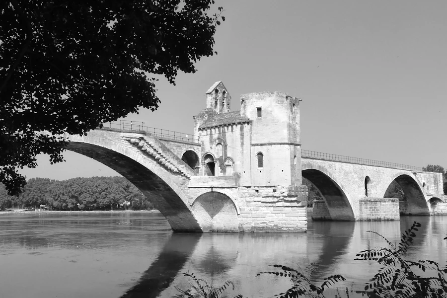 Les arches du pont Saint-Bénezet sur le Rhône
