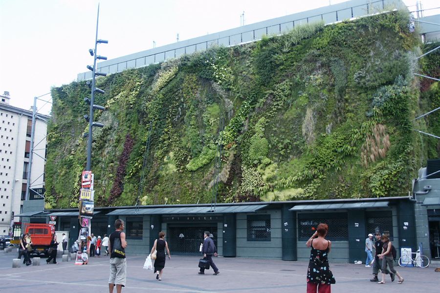 Le mur végétal des Halles