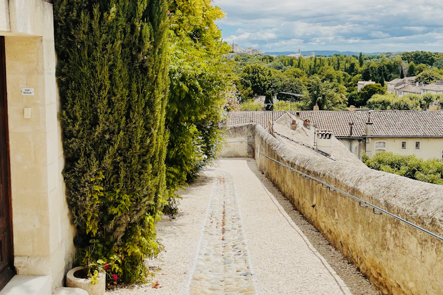 Le long des remparts d'Avignon