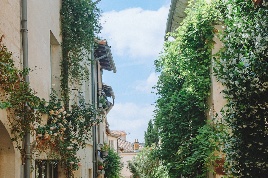 Une ruelle fleurie de Villeneuve-lès-Avignon
