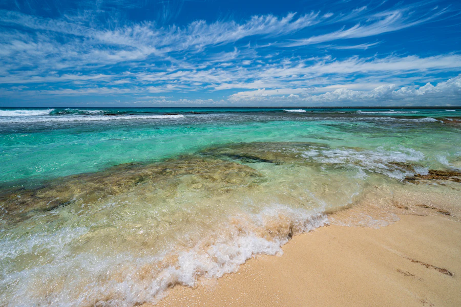 Une plage d'eau claire sur l'île Catalina