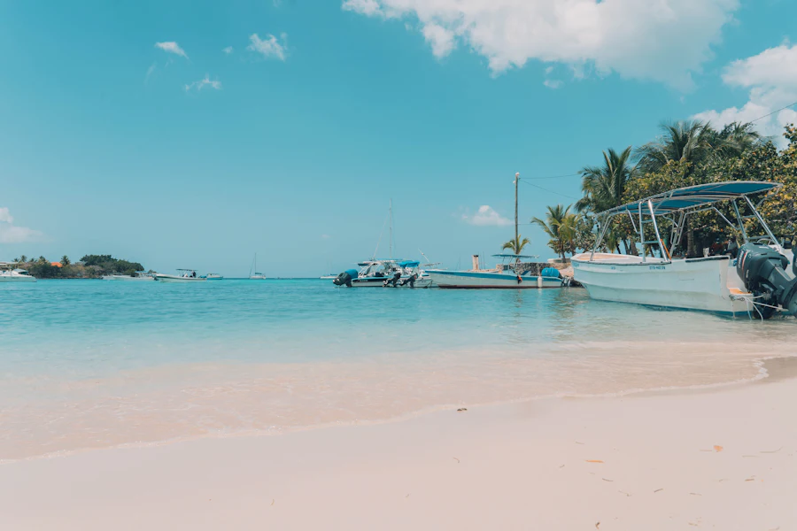 Barques et palmiers sur la plage du village de Bayahibe