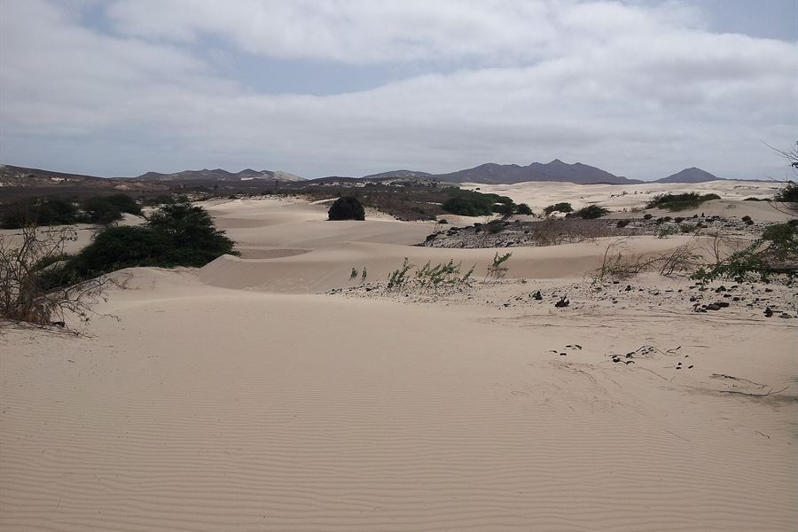 Les dunes de sable du désert de Viana