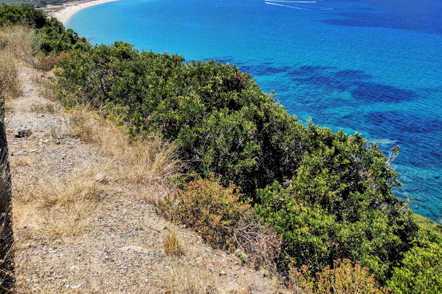 Le golfe de Calvi et sa longue plage