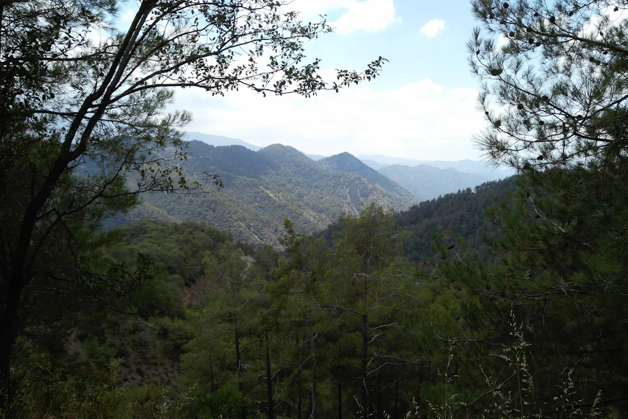 Collines boisées des monts Troodos