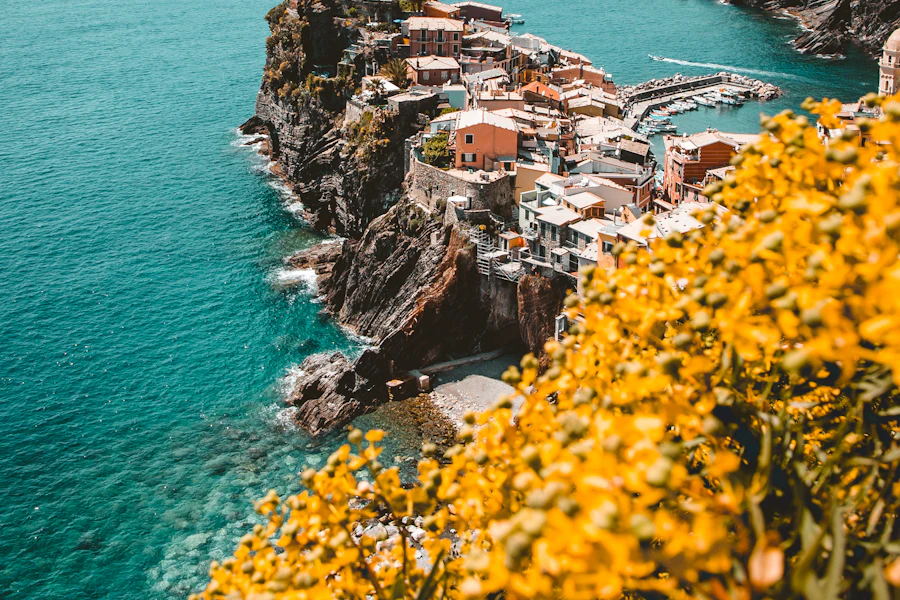Vernazza, son port et la tour du château vus d'en haut
