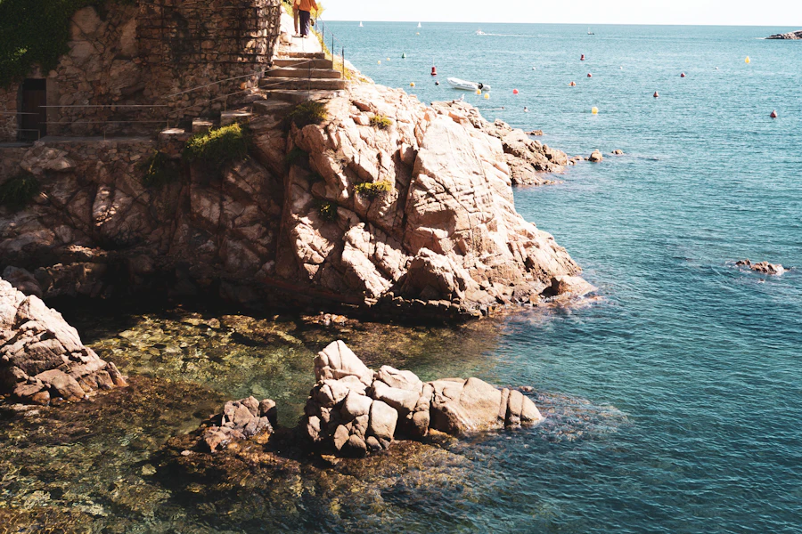 Un pin sur la falaise au-dessus de la mer, à Begur