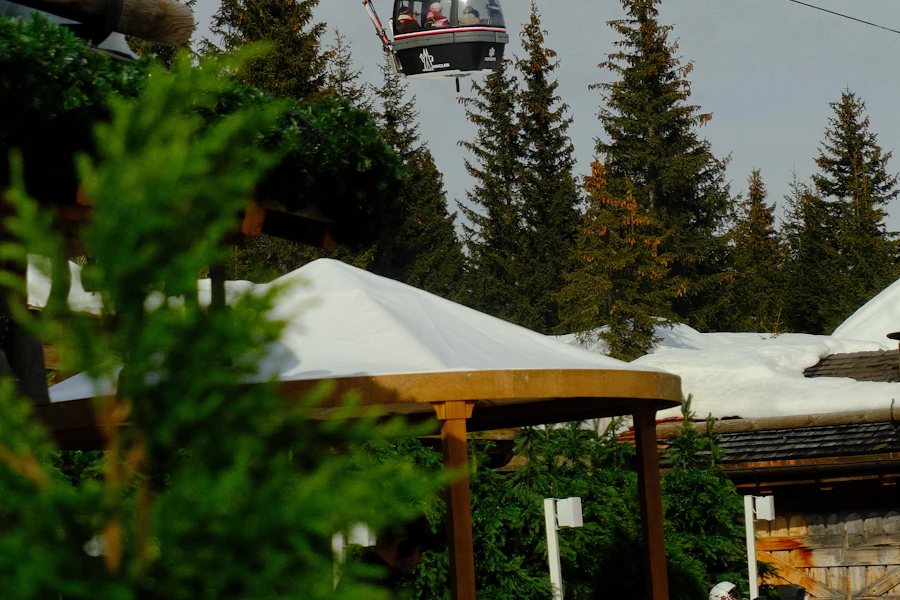 Une télécabine au-dessus des épicéas, à Courchevel