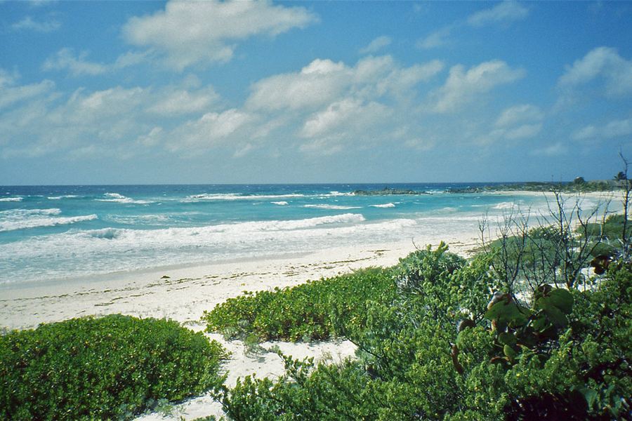 La côte est sauvage de Cozumel