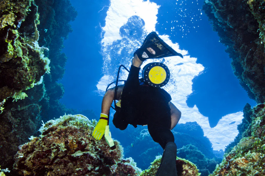Un plongeur au-dessus des récifs de Cozumel