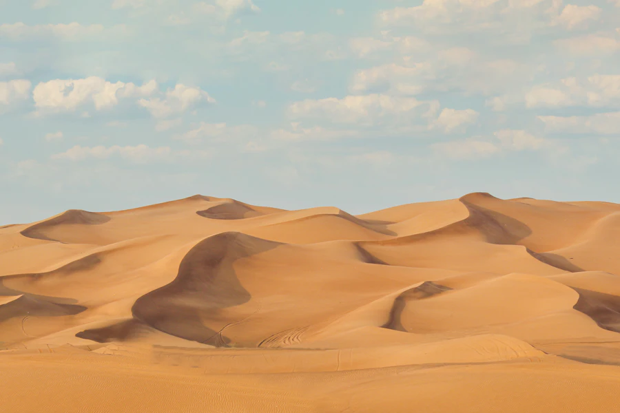 Les grandes dunes rouges du désert près de Dubaï