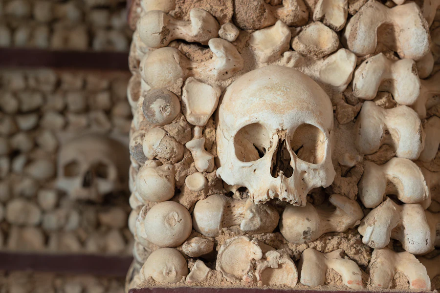 Les crânes et ossements qui tapissent la chapelle des Os