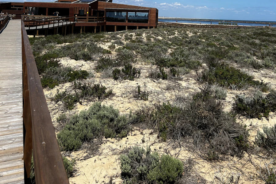 Une passerelle de bois au-dessus de la lagune, à Faro