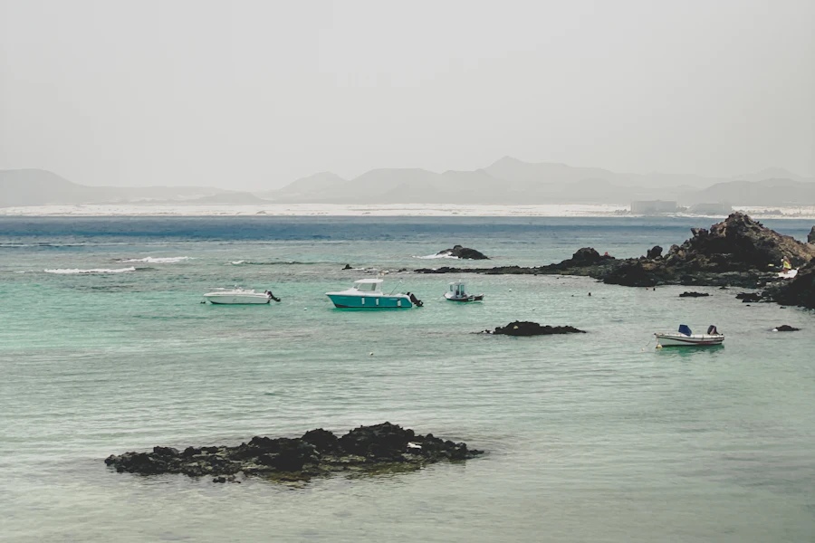 Des bateaux dans une baie de l'île de Lobos