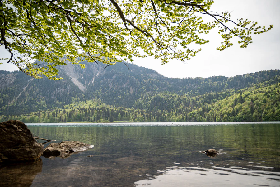 L'Alpsee entouré de montagnes