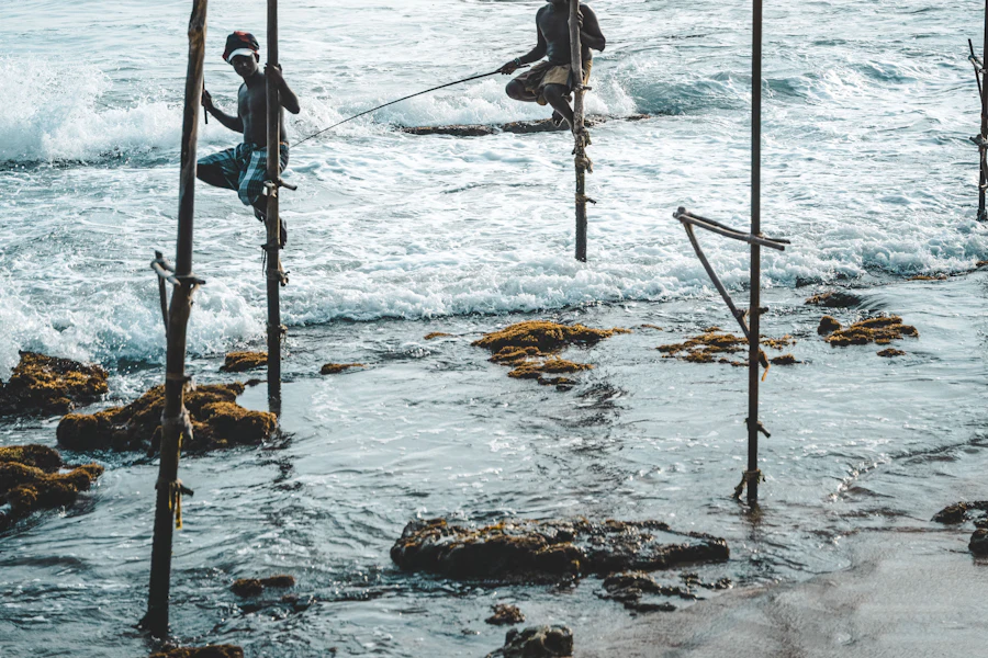 Des pêcheurs sur échasses près de Koggala