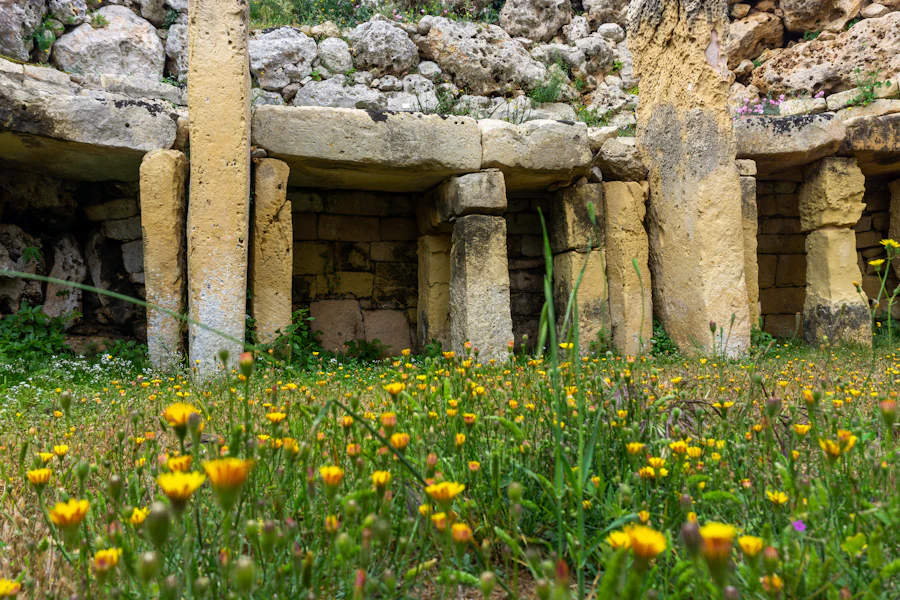 Les blocs de pierre des temples de Ġgantija