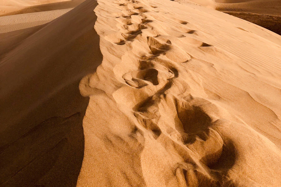 Les crêtes de sable des dunes de Maspalomas