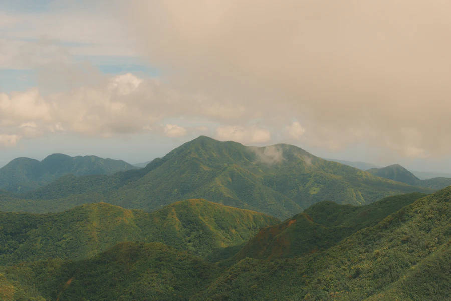 Les pentes verdoyantes du massif de la Soufrière, au-dessus de Saint-Claude