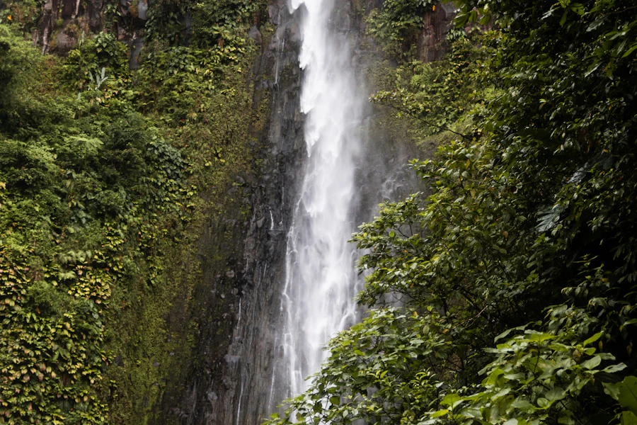 Une haute cascade dans la forêt tropicale de Basse-Terre
