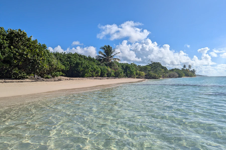 Sable blanc et eau turquoise sur une plage de Sainte-Anne