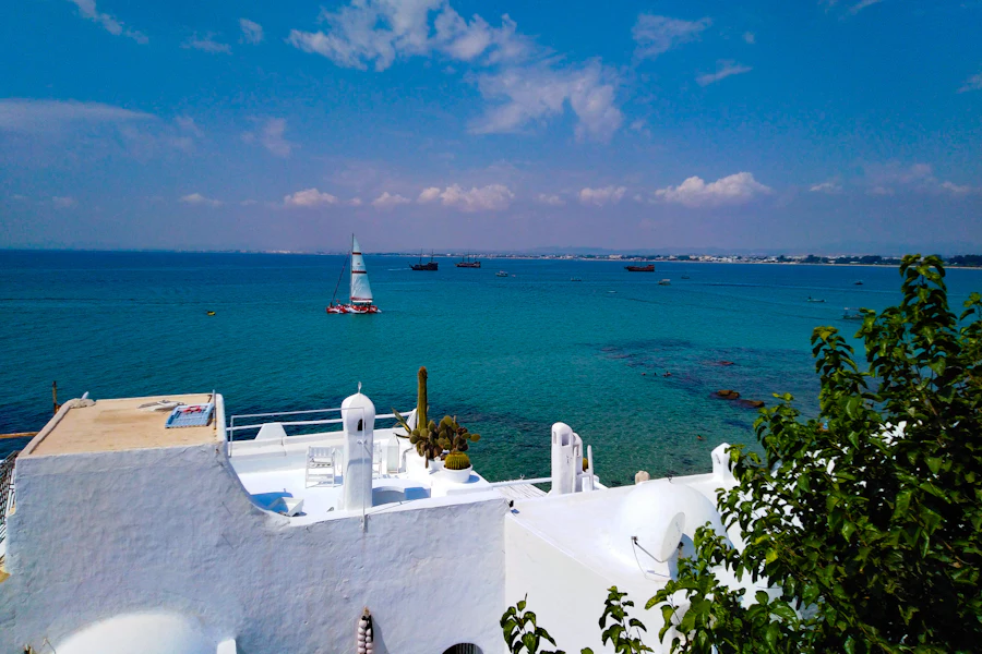 Une plage de sable fin et des maisons blanches à Hammamet