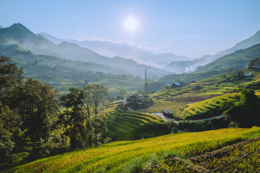 Les rizières en terrasses de Sapa