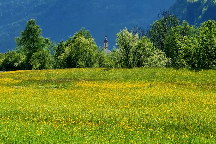 Prairies et sommets de la vallée du Stubai en été