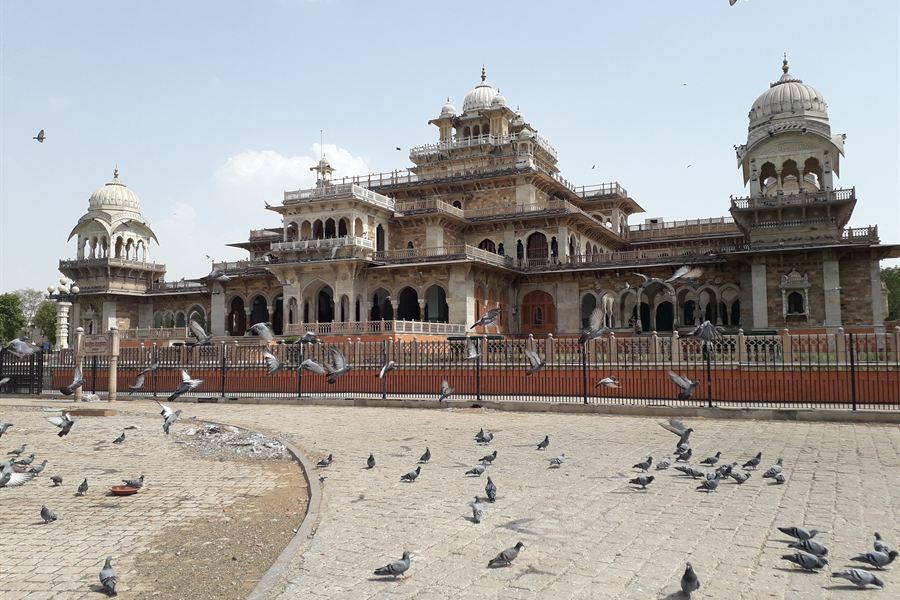 L'Albert Hall de Jaipur