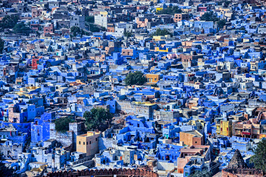 Les maisons bleues de Jodhpur vues du fort