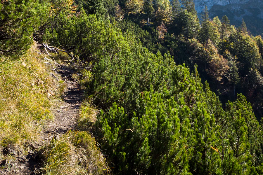 Les sommets enneigés du Wilder Kaiser
