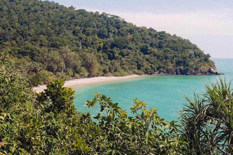 Une côte verdoyante de Koh Lanta et ses eaux turquoise