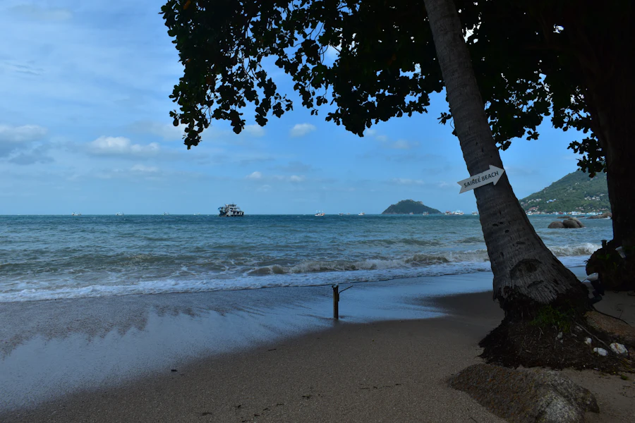 La plage de Sairee et ses palmiers