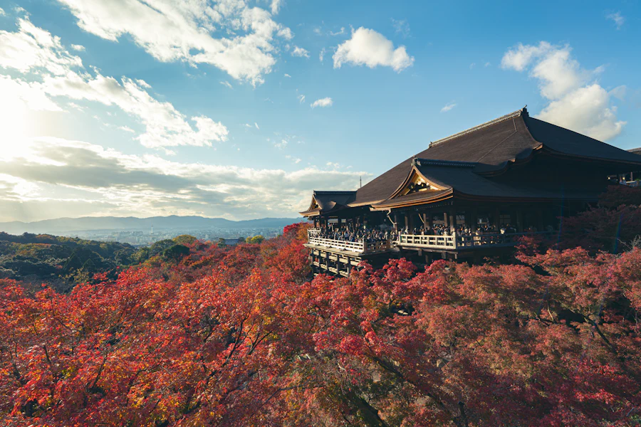 Le temple Kiyomizu-dera sur sa colline boisée