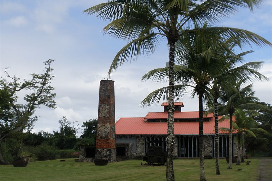 La maison de la Canne et sa cheminée
