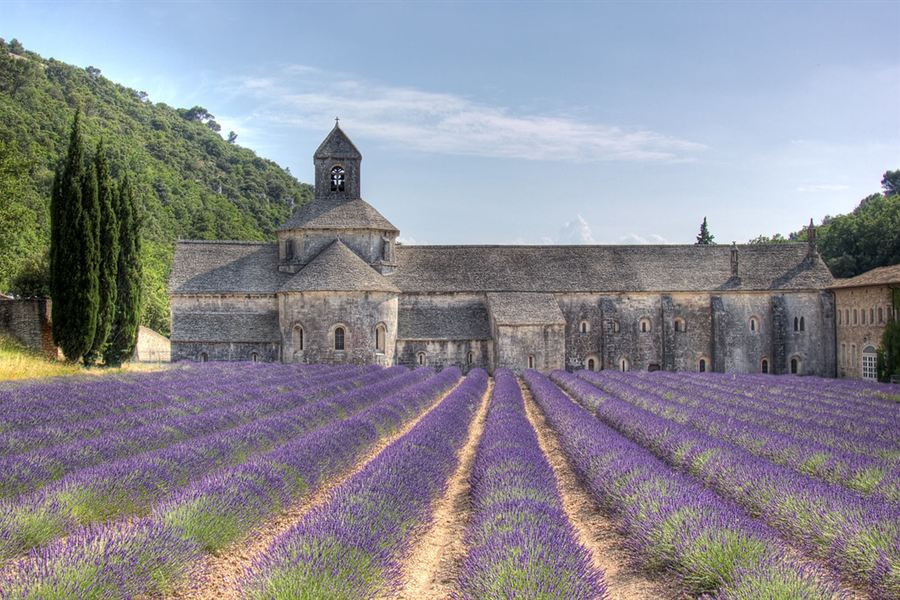 L'abbaye de Sénanque et ses lavandes