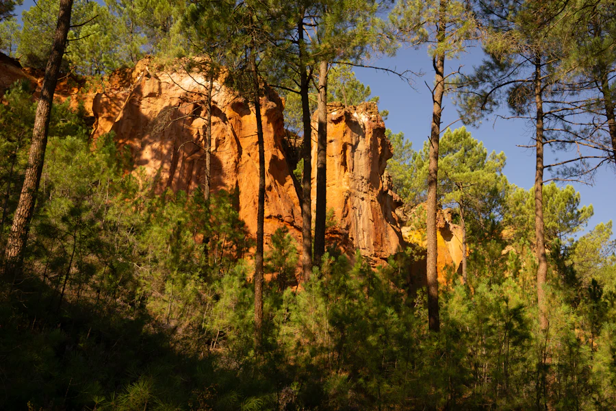 Les falaises d'ocre de Roussillon au milieu des pins