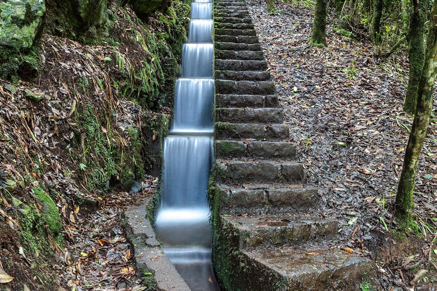 Une levada à Ribeiro Frio