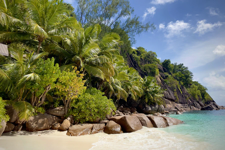 Une plage bordée de palmiers sur la côte sud de Mahé
