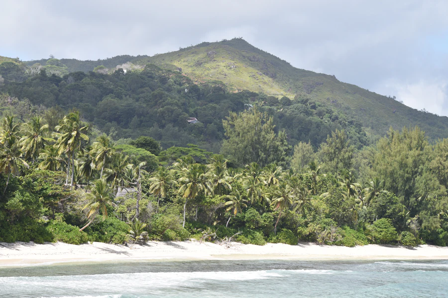 Des montagnes boisées au-dessus de la mer, aux Seychelles