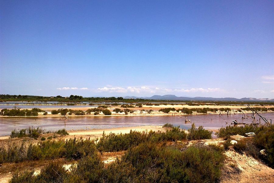 Les salines d'Es Trenc