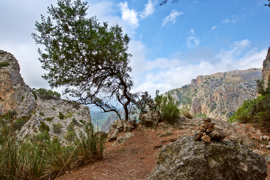 Le sommet du Barranc de Biniaraix, dans la Serra de Tramuntana