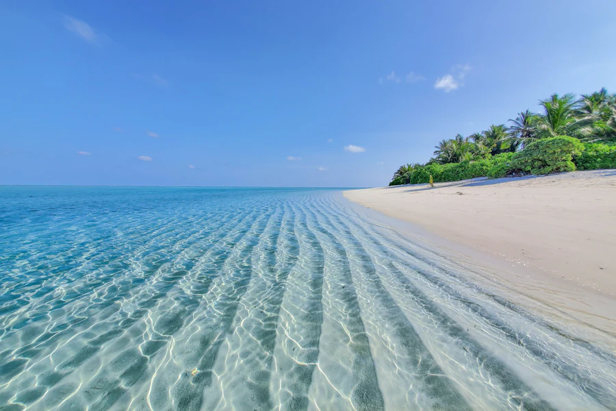 Une plage de l'île habitée de Thoddoo