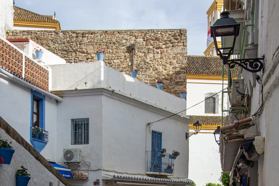 Une ruelle pavée bordée de maisons blanches dans la vieille ville de Marbella